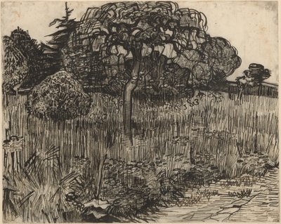 Itkevä puu tekijältä Vincent van Gogh