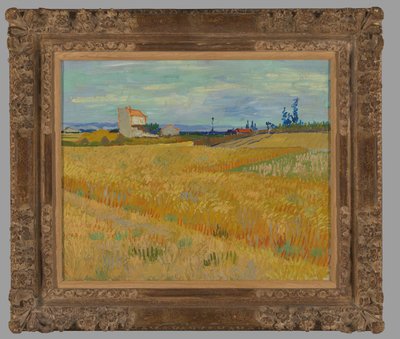 Vehnäpelto tekijältä Vincent van Gogh