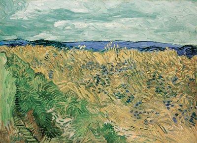 Vehnäpelto ruiskukkailla tekijältä Vincent van Gogh