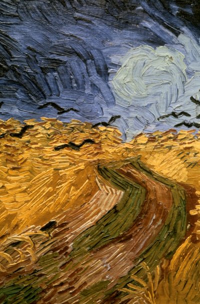 Vehnäpelto varisten kanssa, yksityiskohta 1890. tekijältä Vincent van Gogh