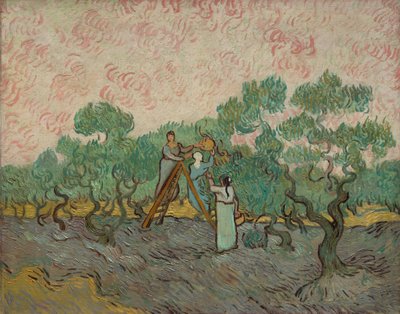 Naiset poimivat oliiveja, 1889. tekijältä Vincent van Gogh