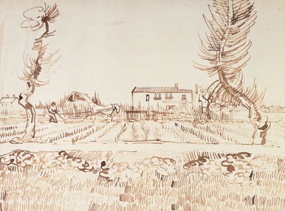 Kentät Arlesissa; Plowman in the Fields Arlesissa, 1888 tekijältä Vincent van Gogh