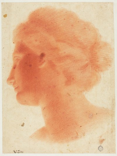 Venus de Medicin pää tekijältä Vincenzo Dandini
