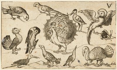Riikinkukko keskellä yhdeksän muuta lintua, mukaan lukien kalkkuna ja perhonen..., 1572. tekijältä Virgil Solis