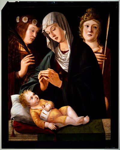Madonna ja lapsi sekä kaksi naispyhimystä, päiväämätön (paneeli). tekijältä Vittore Carpaccio