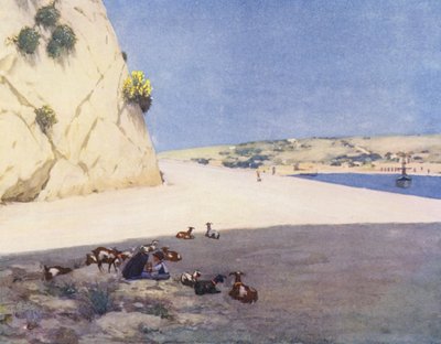  tekijältä Vittorio Boron