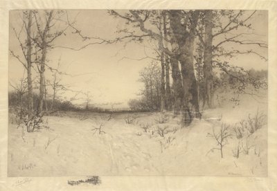 Keskitalvi tekijältä W.C. Bauer