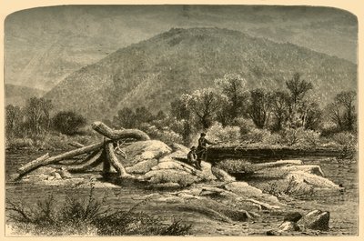 "Mount Chesterfield", 1874. tekijältä W.H. Morse