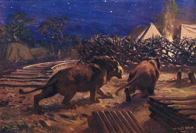 Rautatietyöläisen vihollinen tekijältä W.R.S. Stott