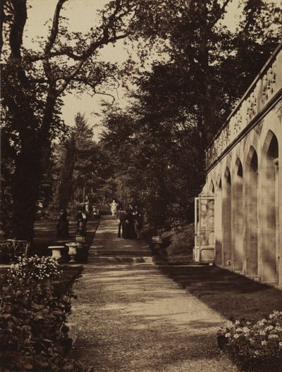 Orangery ja Flower Garden Singletonissa, Glamorganshiressä tekijältä W. Graham Vivian
