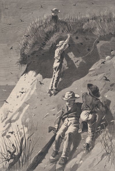 Raid on a Sand-wallow Colony - Kuinka monta munaa Harper