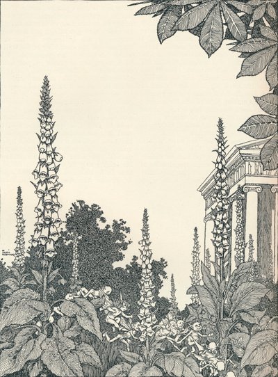 Kuvitus Kesäyön unelmaan, 1914, 1925. tekijältä William Heath Robinson