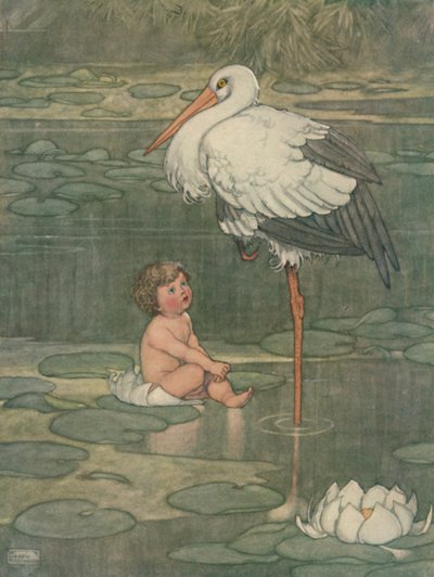 Nuppu avautui täysikasvuiseksi kukaksi, n. 1930 tekijältä William Heath Robinson