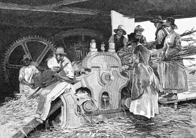 Murskata keppi, 1886. tekijältä W. Mollier