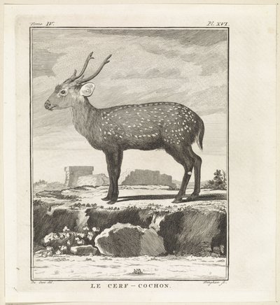 Hert Le Cerf-Cochon (otsikko esineessä) tekijältä W. Tringham