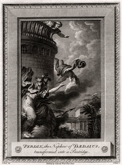 Perdix, Daedaluksen veljenpoika, muuttui Partridgeksi, 1774 tekijältä W. Walker