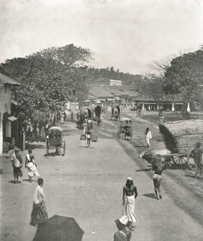 Katukuva lähellä kaupungintaloa, Colombo, Ceylon, 1895. tekijältä W and S Ltd