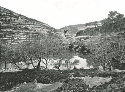 Siloamin allas, Jerusalem, Palestiina, 1895. tekijältä W and S Ltd