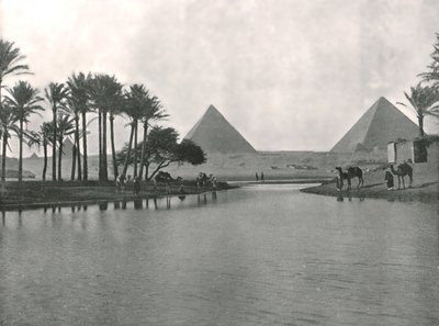 Pyramidit ja Niili, Gizeh, Egypti, 1895. tekijältä W and S Ltd