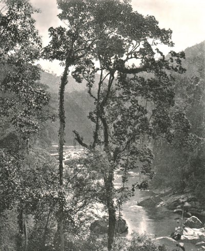 Näkymä Kelani-joelle, Kurunegala, Ceylon, 1895. tekijältä W and S Ltd