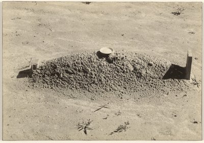 Baptistien hauta, Halen piirikunta, Alabama tekijältä Walker Evans