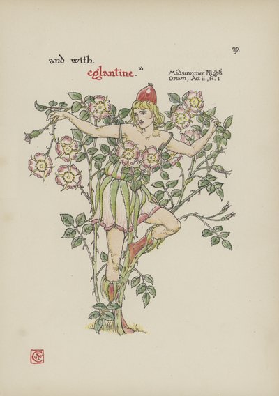 Kukkia Shakespearen puutarhasta tekijältä Walter Crane