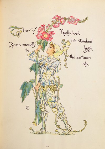 Hollyhock 