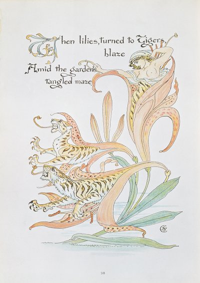 "Kun liljat kääntyivät Tiger Blazeen", kuvitus "Flora