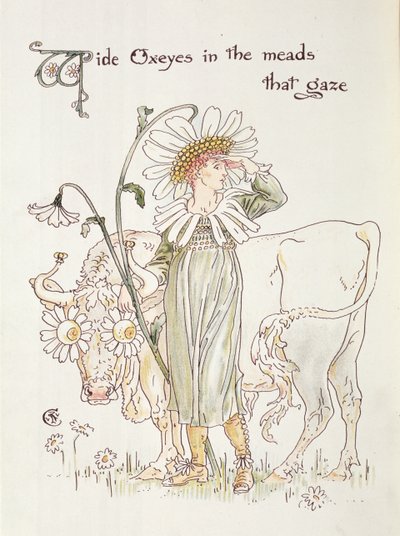 "Wild Oxeyes in Meads that Gaze", kuvitus kappaleeseen "Flora