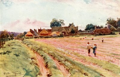 Somerset Homestead, lähellä Limpley Stokea (väri litho) tekijältä Walter Frederick Roofe Tyndale