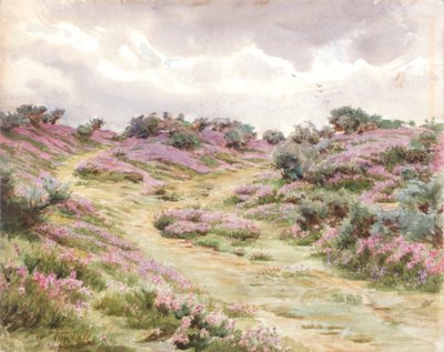 Bell Heather on Setley Plain (akvarelli) tekijältä Walter Frederick Roofe Tyndale