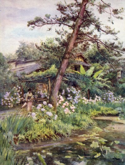 Hortensiat Tea Gardenissa Nichi Otanissa, Kiotossa tekijältä Walter Frederick Roofe Tyndale