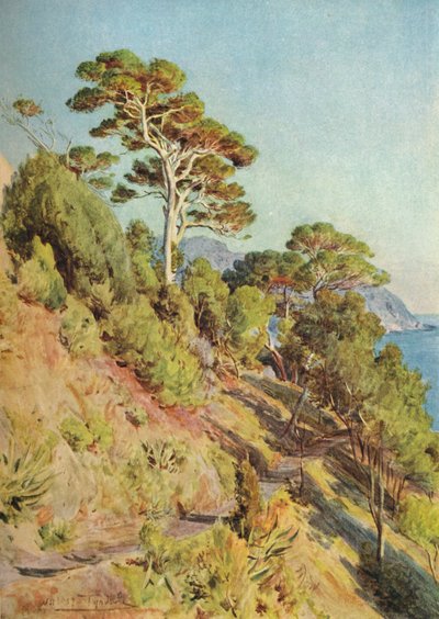 Villa Piuma, Sestri Levante, 1910, 1912 tekijältä Walter Frederick Roofe Tyndale