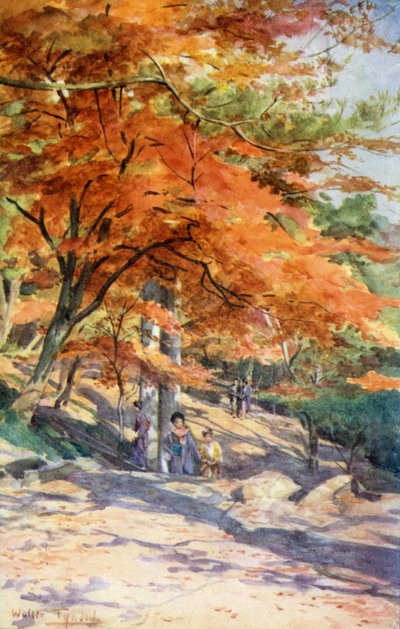Vaahterat Omorissa Tokion lähellä tekijältä Walter Frederick Roofe Tyndale