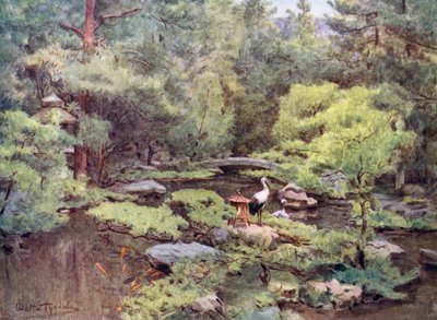Nami nahka s Water on r Den, Ito tekijältä Walter Frederick Roofe Tyndale
