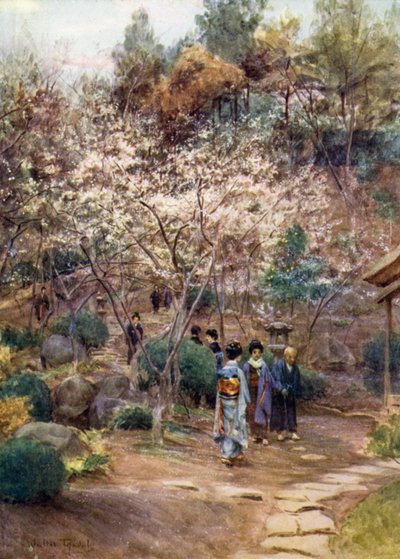 Luumupuut Atamilla tekijältä Walter Frederick Roofe Tyndale
