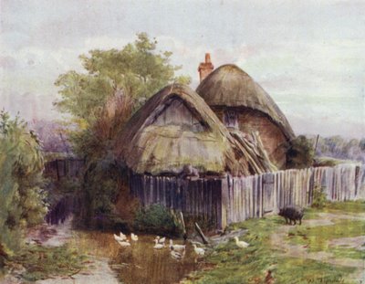 Uusi metsä: Mökki Bartleyssa (väri litho) tekijältä Walter Frederick Roofe Tyndale