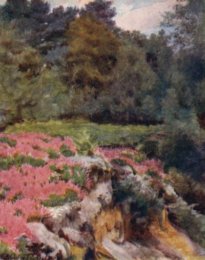 Uusi metsä: Sorakuopan pää Roydenissa (väri litho) tekijältä Walter Frederick Roofe Tyndale