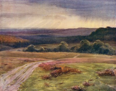 Uusi metsä: Boldrewood Walk, Puck Pitts, Fritham Roadilta (väri litho) tekijältä Walter Frederick Roofe Tyndale