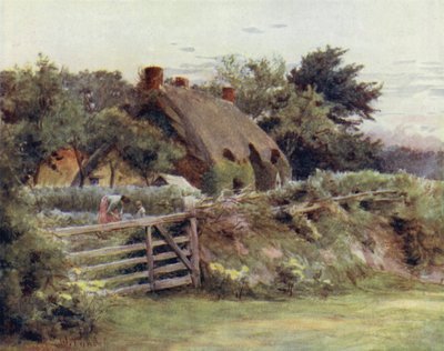 Uusi metsä: Mökki lähellä Brokenhurstia (väri litho) tekijältä Walter Frederick Roofe Tyndale