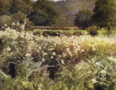 Uusi metsä: Meadow Sweet lähellä Roydenia (väri litho) tekijältä Walter Frederick Roofe Tyndale