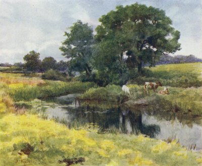 Uusi metsä: Lymington-joella (väri litho) tekijältä Walter Frederick Roofe Tyndale