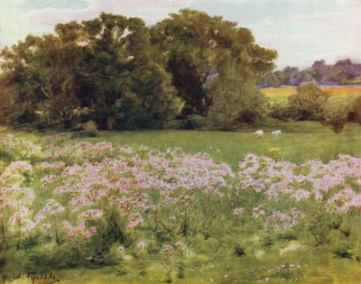 Uusi metsä: Riversdale, Boldre (väri litho) tekijältä Walter Frederick Roofe Tyndale