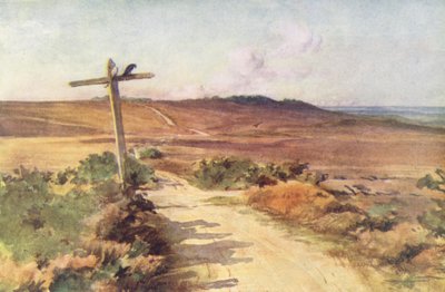 Wessex: Bere Heath syksyllä, etäisyydellä Gallows Hill (värilitro). tekijältä Walter Frederick Roofe Tyndale