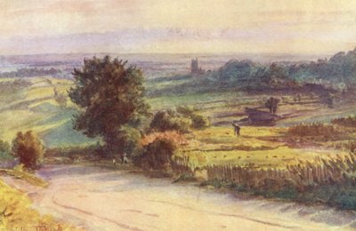 Wessex: Blackmore Vale Shaftesburysta (värilitro). tekijältä Walter Frederick Roofe Tyndale