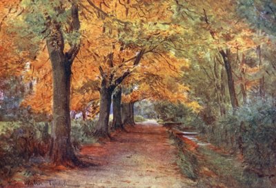 Wessex: Bockhampton Bank, Dorchesterin lähellä (värilitro). tekijältä Walter Frederick Roofe Tyndale