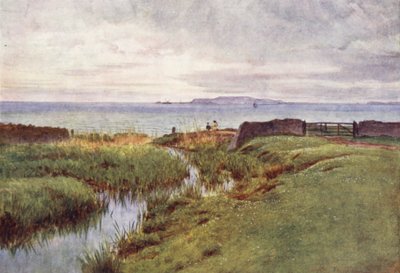 Wessex: Portland Weymouthin lahden pohjoisrannalta (värilitro). tekijältä Walter Frederick Roofe Tyndale