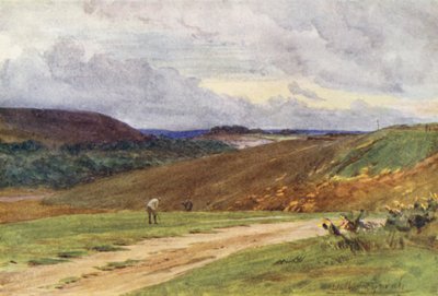 Wessex: Broadstone Golf Links, lähellä Poolea (värilitro). tekijältä Walter Frederick Roofe Tyndale