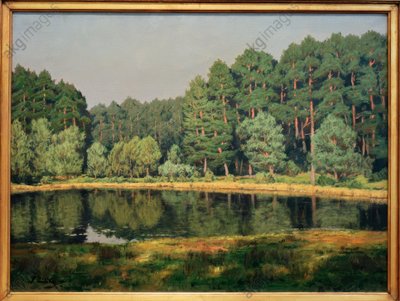 Metsämaisema järvellä Brandenburgissa tekijältä Walter Leistikow