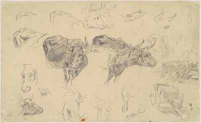 Oxen-tutkimukset tekijältä Walter Shirlaw
